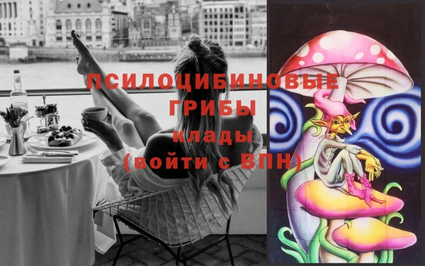 героин Покачи